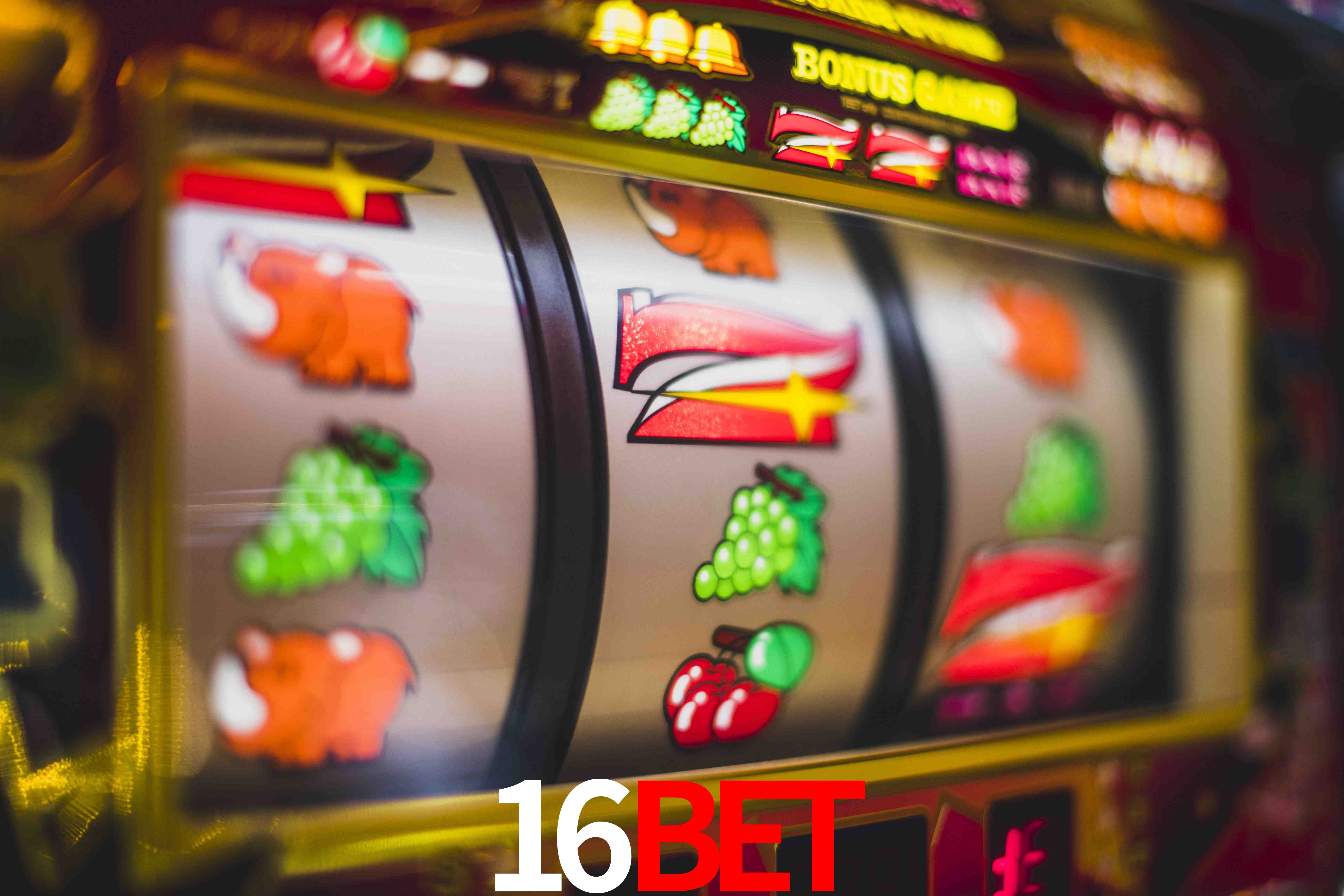 Crash Games Statistics 16BET